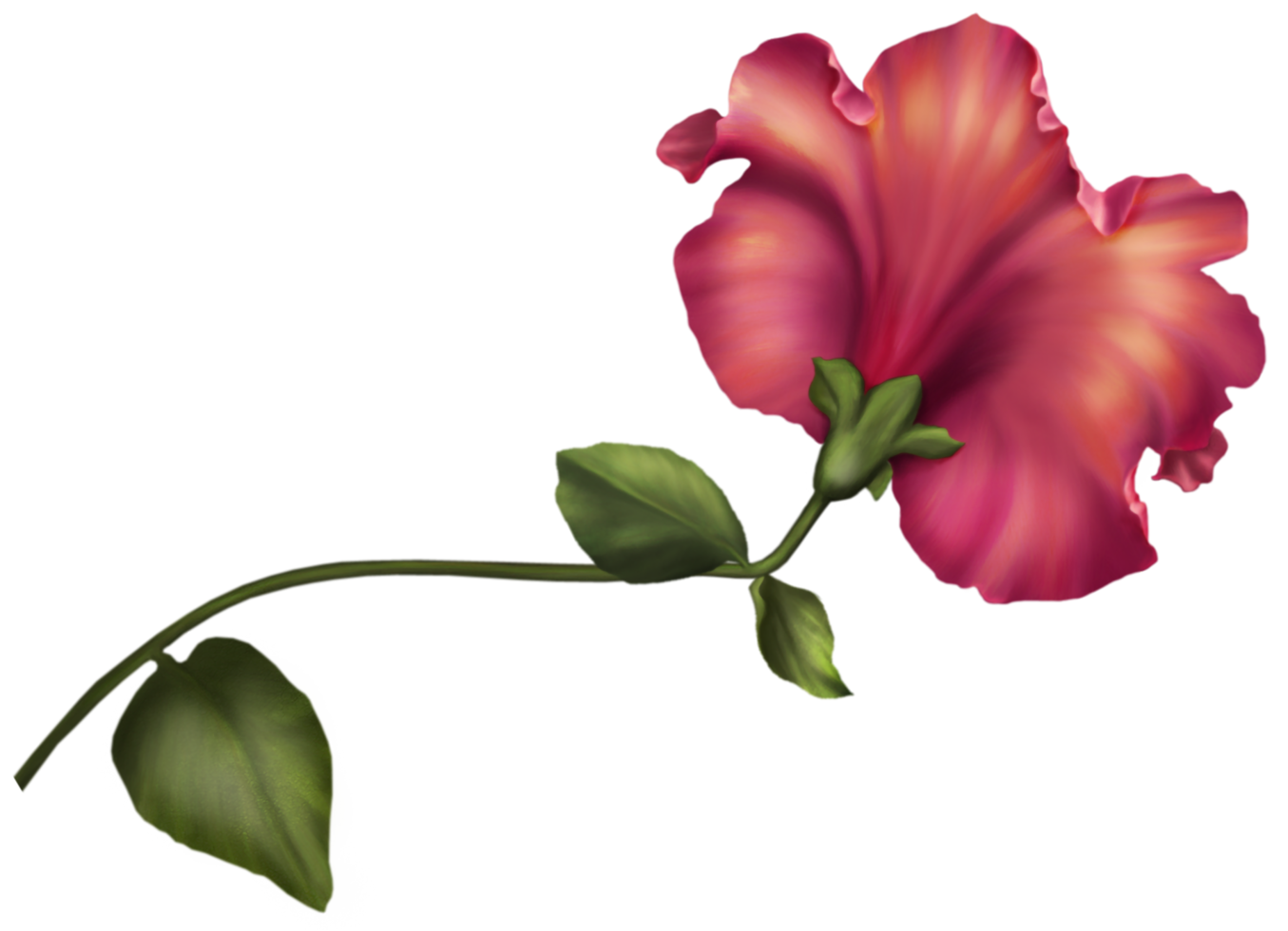 årgång blomma transparent png