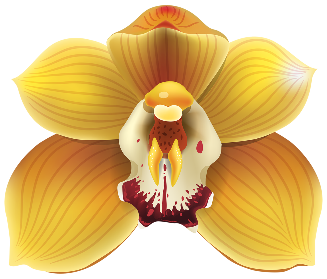 Yellow Orchid Transparent png