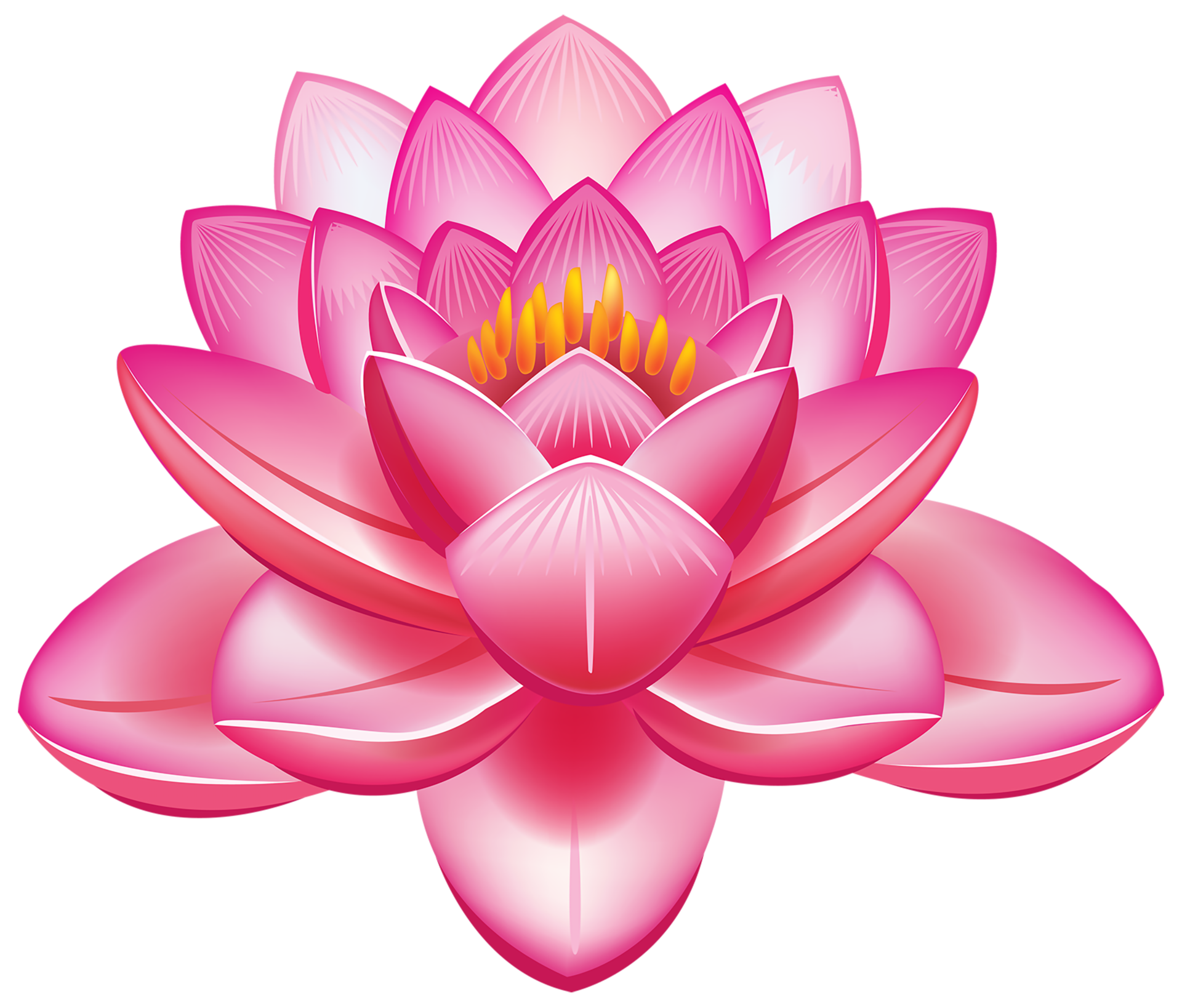 fleur de lotus transparente 14033648 PNG