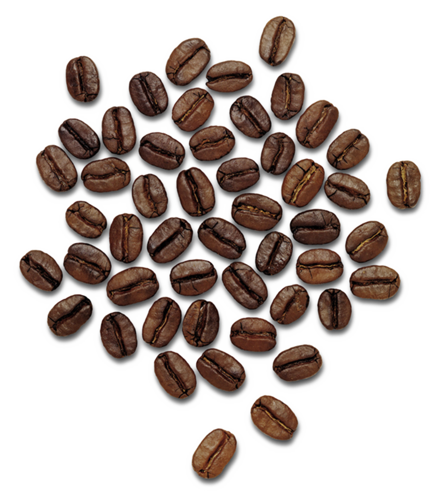 Fondo de granos de café png