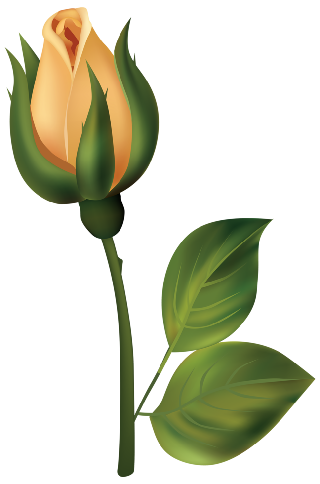 Yellow Rose Bud png