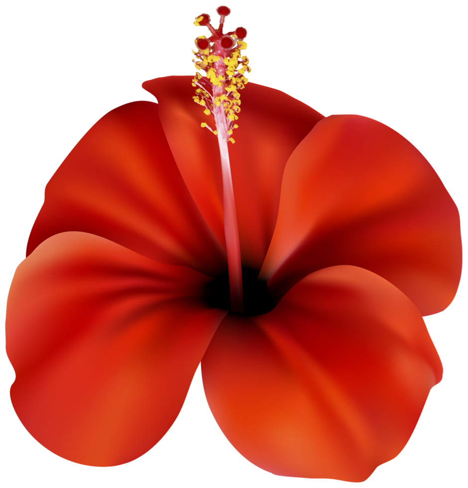 flor vermelha transparente png