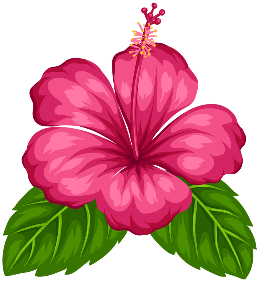 Exotic Flower Transparent png