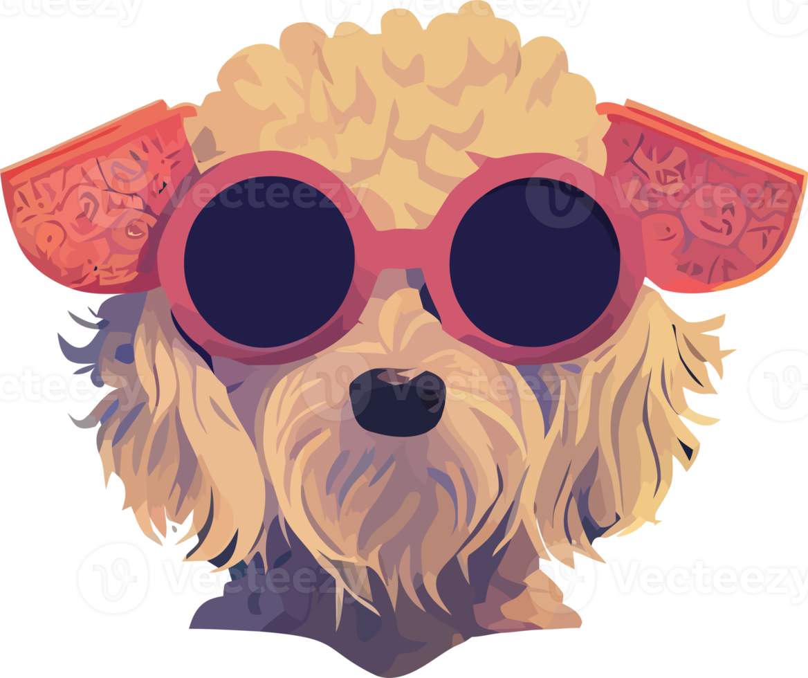 ilustración gráfica de caniche con gafas de sol aislado bueno para icono, mascota, imprimir o personalizar su diseño png