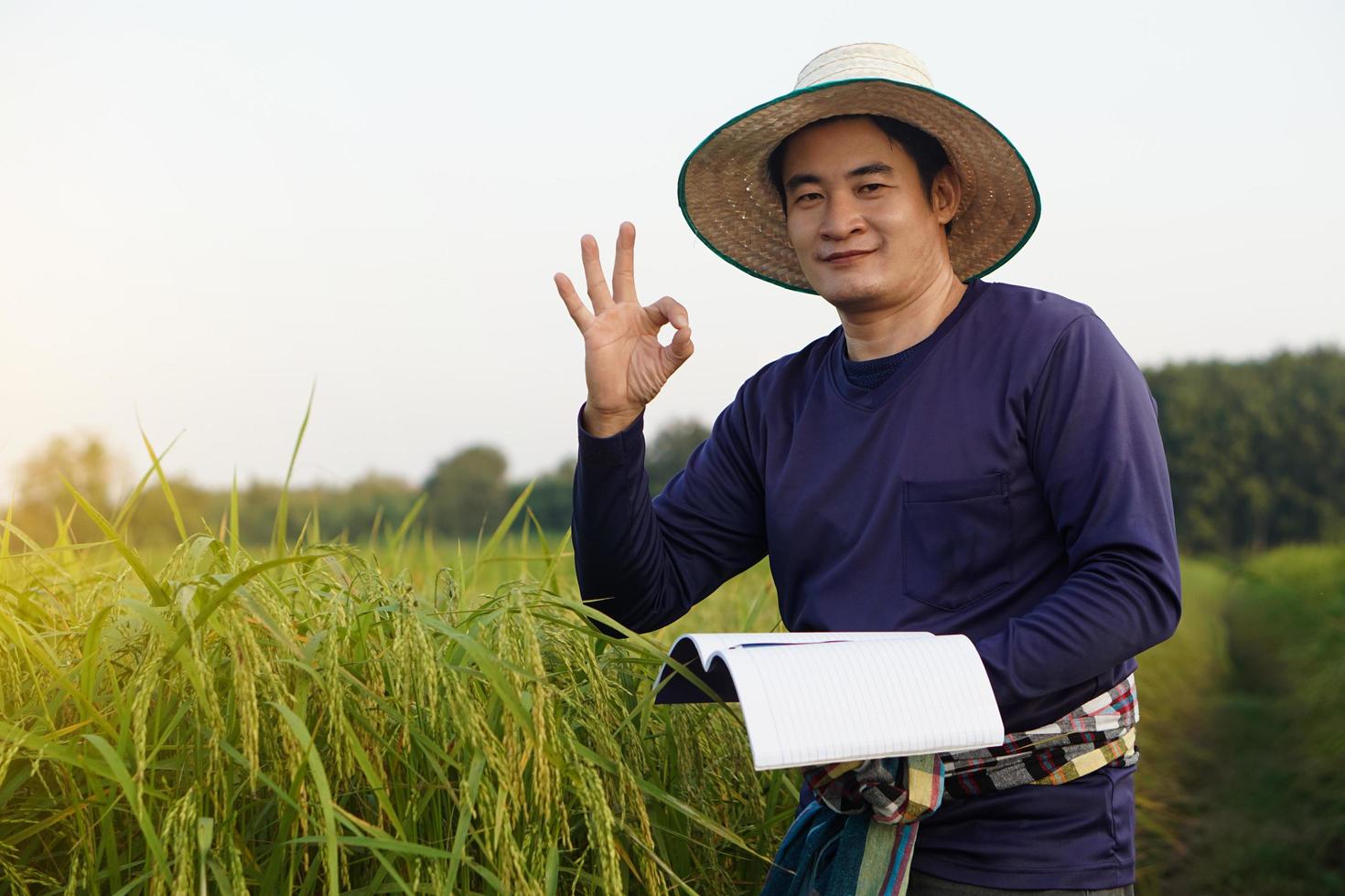 Asian man farmer is at paddy field, holds notebook paper to check growth and diseases of rice plants, make OK hand sign. Concept, Agriculture research and study to develop crop photo