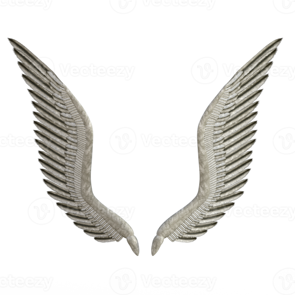 Angel Wings Isolated 3D rendering png