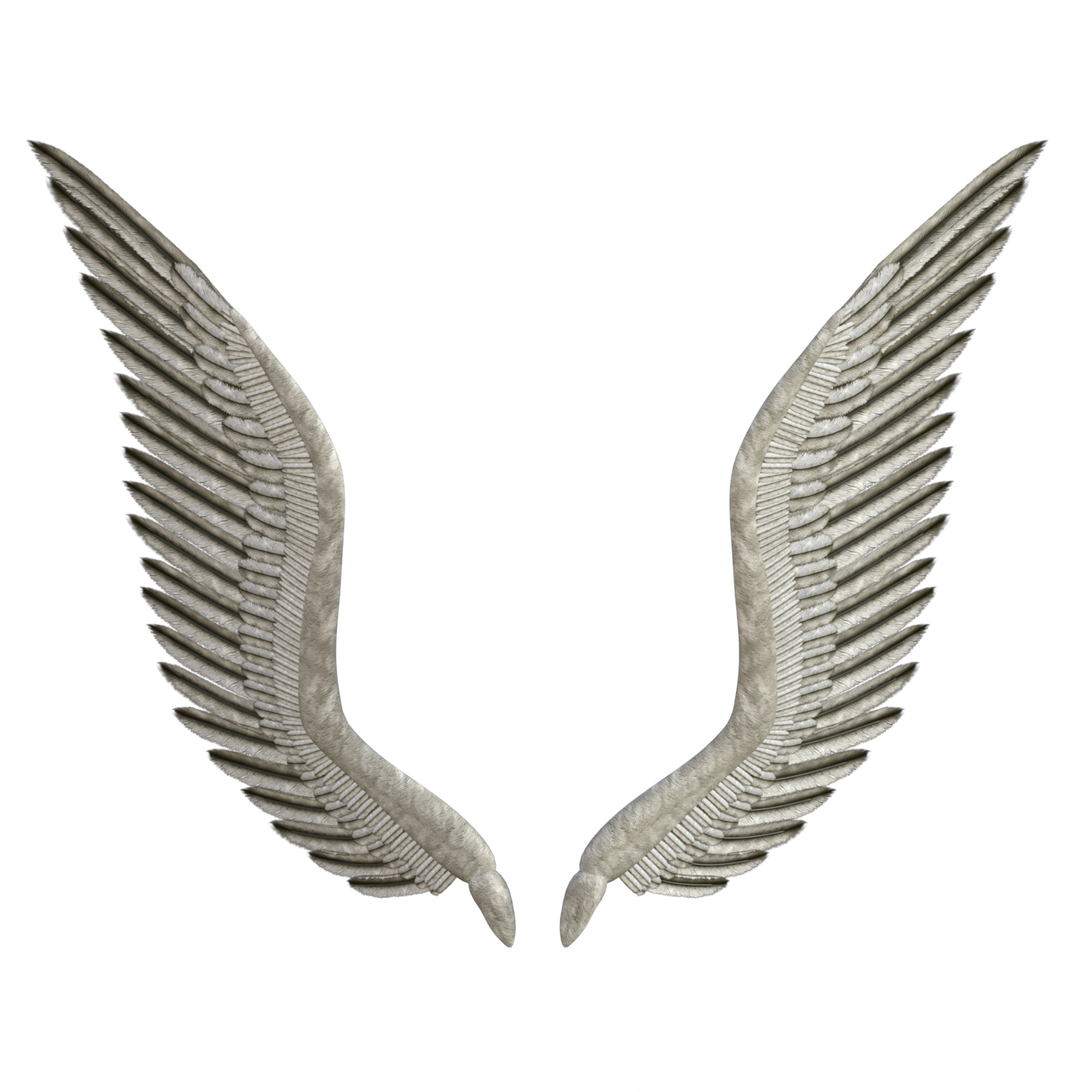 Angel Wings Isolated 3D rendering 14034362 PNG