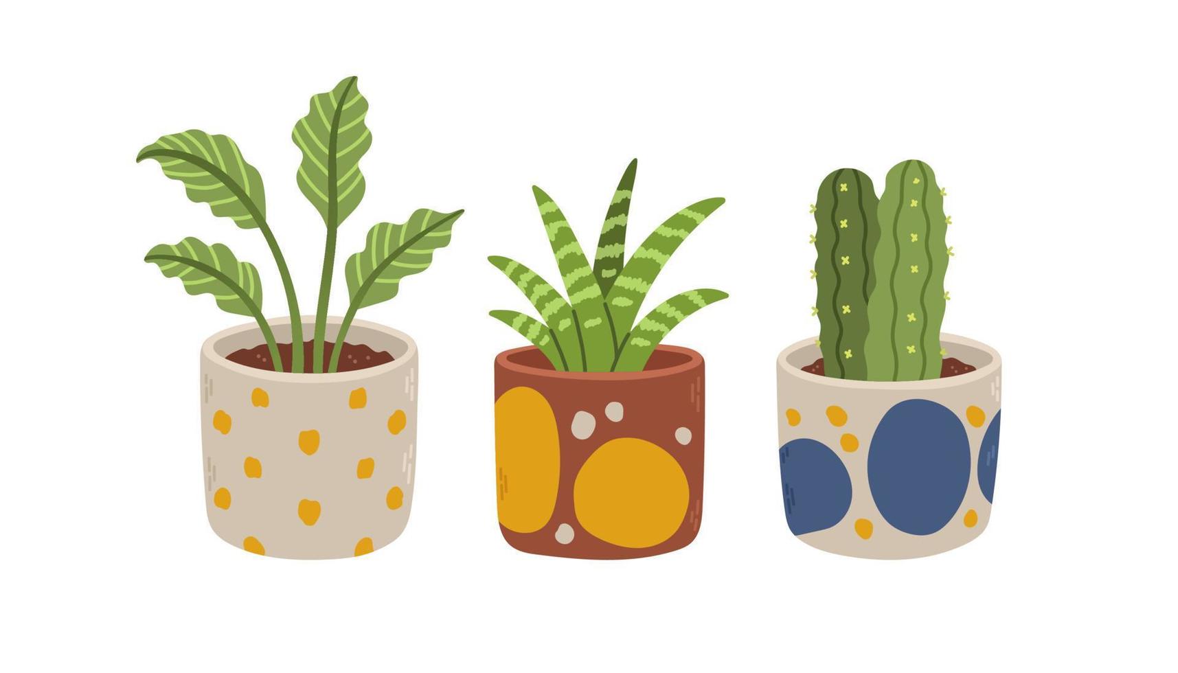 Flowers pot set. Organic flat houseplant collection. Set of house indoor plants. Cactus, aglaonema, sansevieria. Vector illustration.