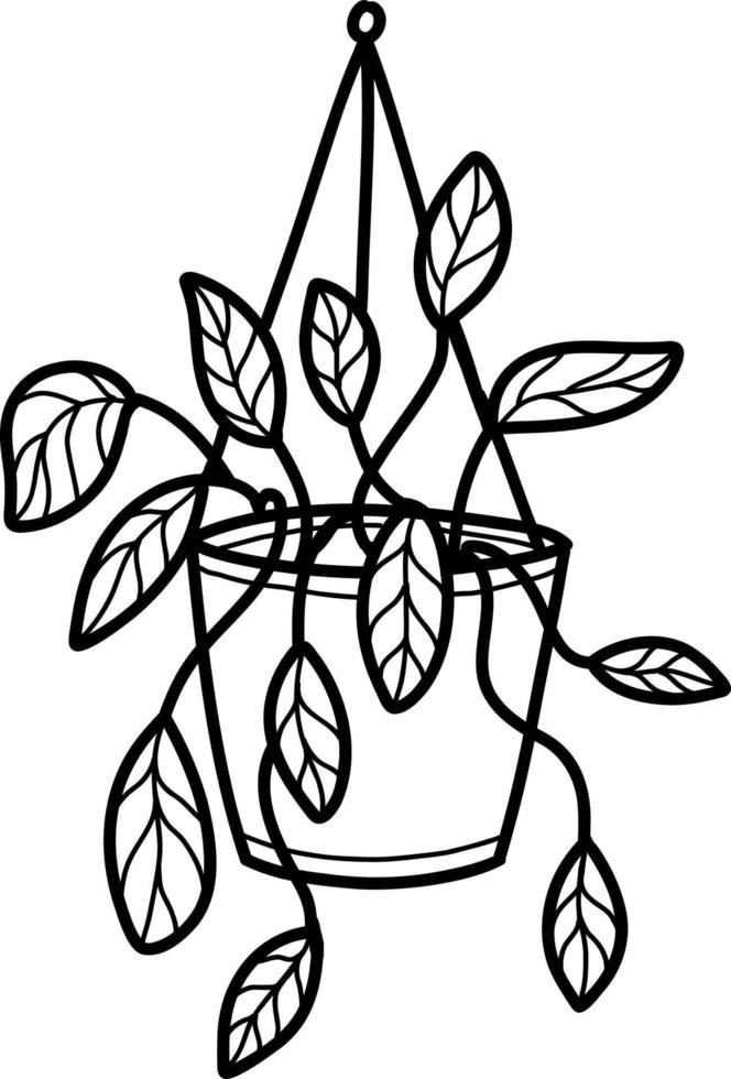 House plant in a hanging pot vector