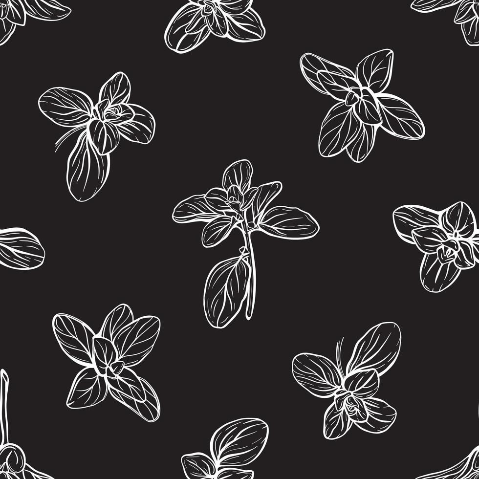 Basil Seamless Pattern.Marjoram pattern. vector