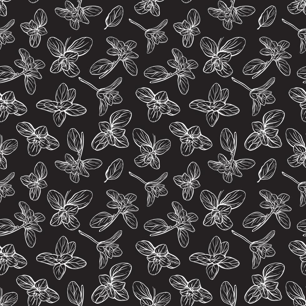 Basil Pattern. Italian herbs.A sprig of marjoram vector