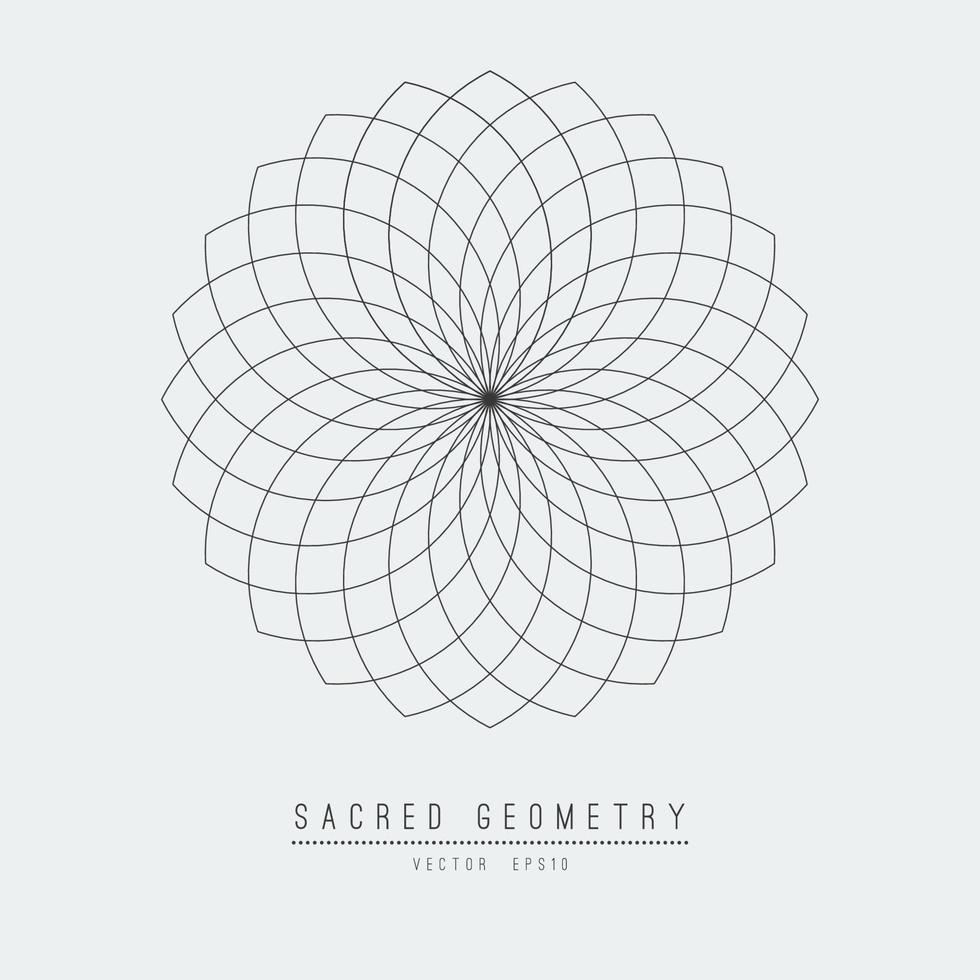 Sacred geometry line vector element flower of life . Vector illustration .
