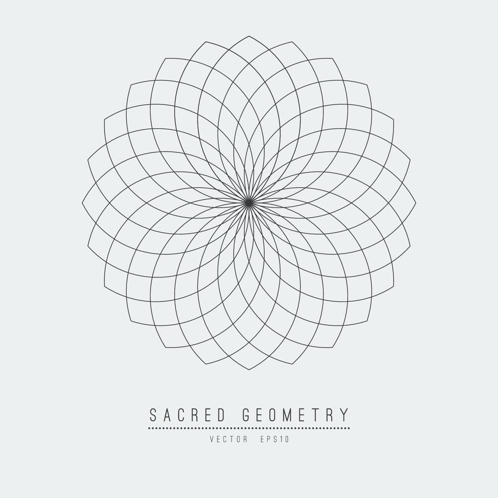 Sacred geometry line vector element flower of life . Vector illustration .