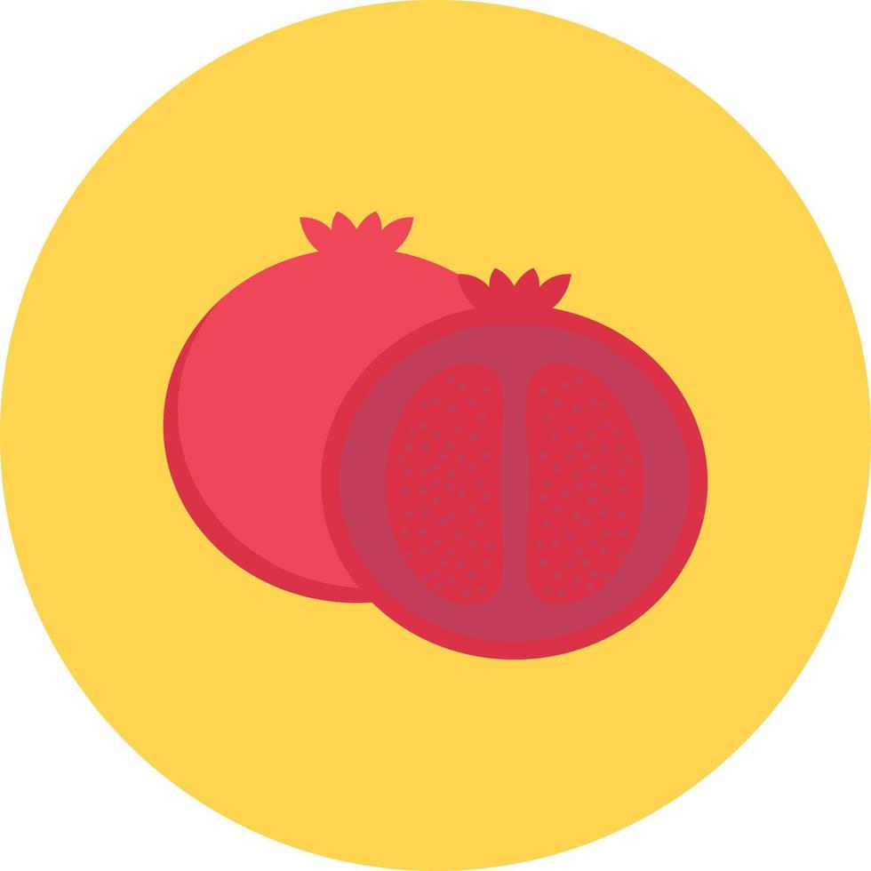 pomegranate vector illustration on a background.Premium quality symbols.vector icons for concept and graphic design.