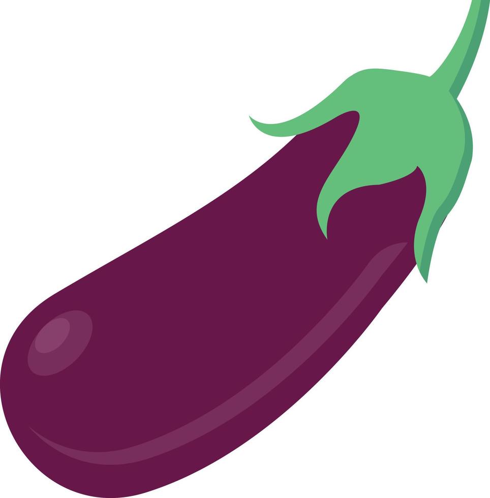 eggplant vector illustration on a background.Premium quality symbols.vector icons for concept and graphic design.