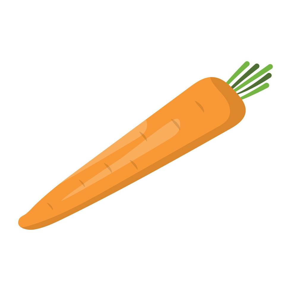 carrot vector illustration on a background.Premium quality symbols.vector icons for concept and graphic design.