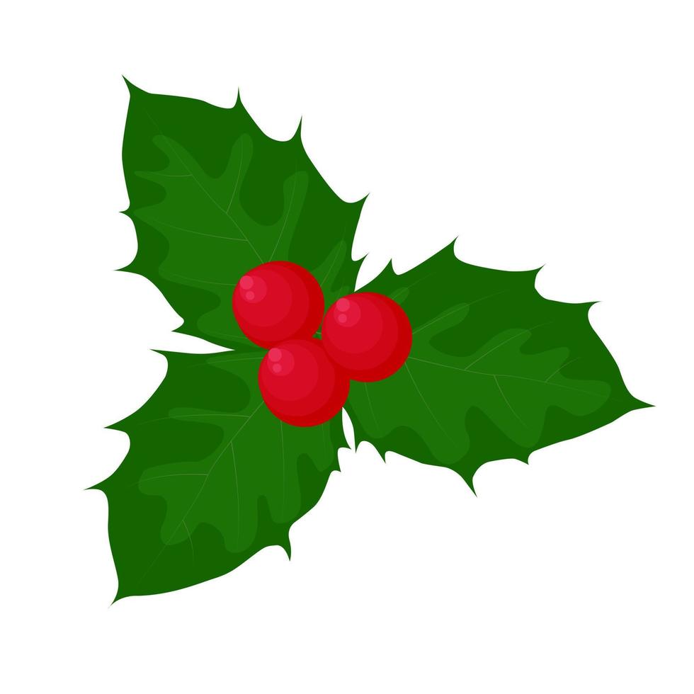 Hand drawn holly, ilex branch with berry and leaves, mistletoeHappy new year decoration. Merry christmas holiday. Vector illustration in flat style