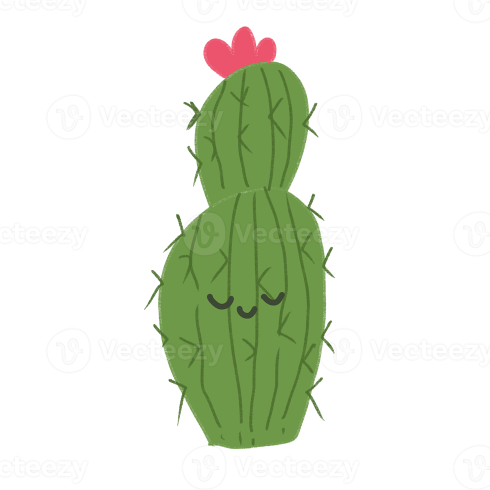 Cute Cactus Handdrawn with green color png