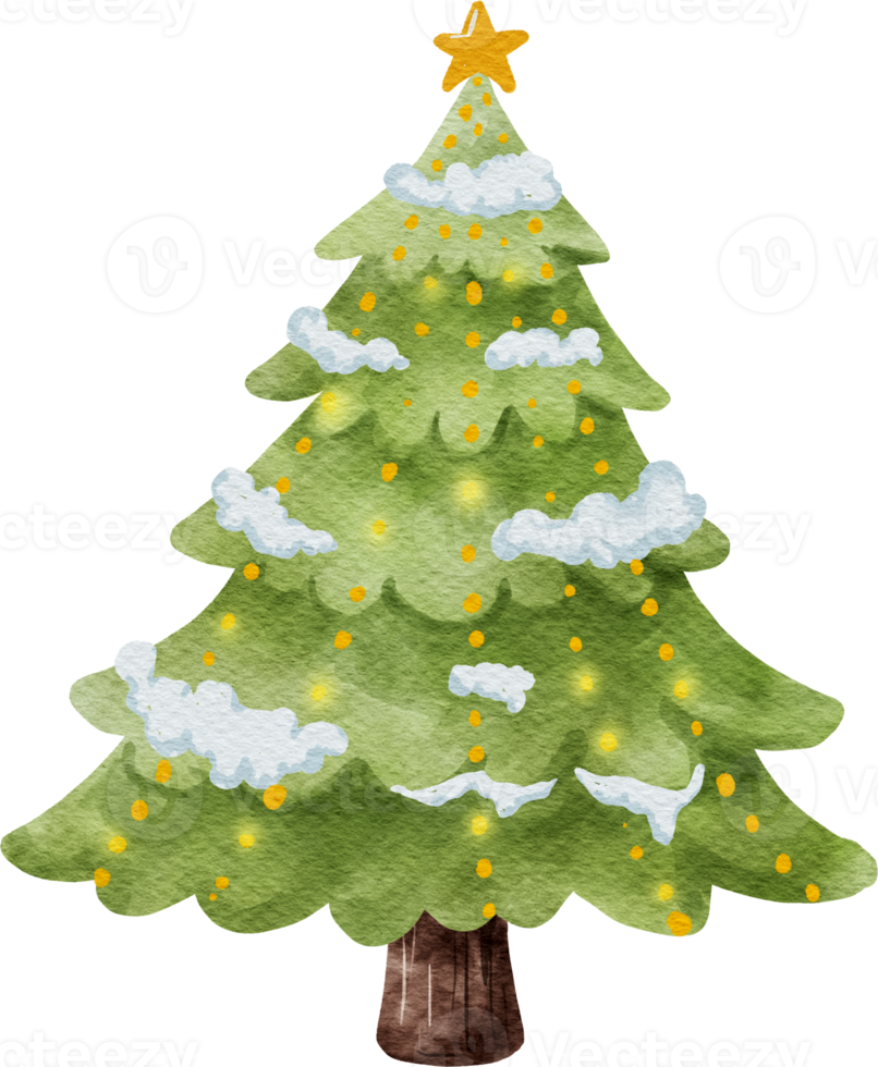 acquerello albero di natale png