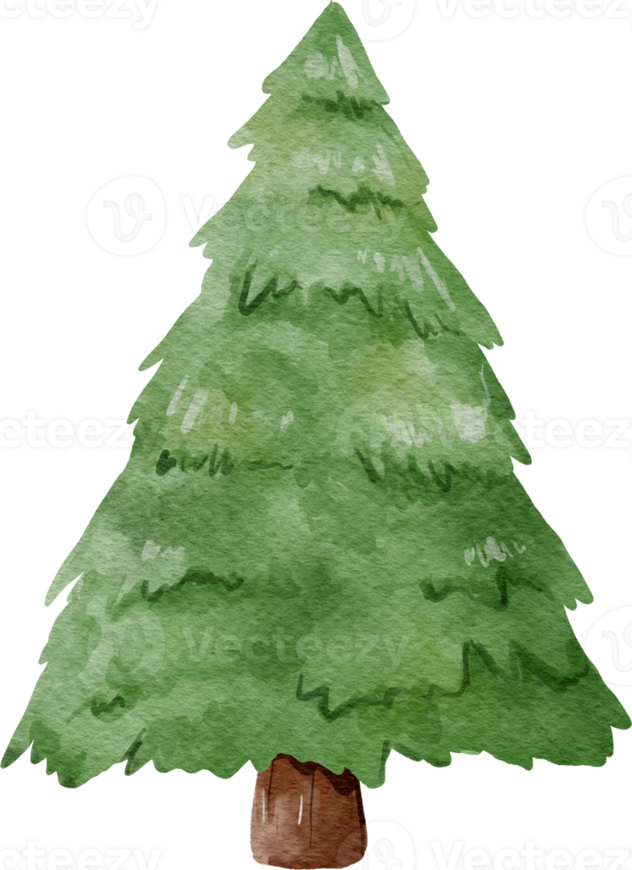 Christmas Tree Watercolor png