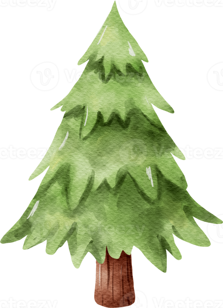 acquerello albero di natale png