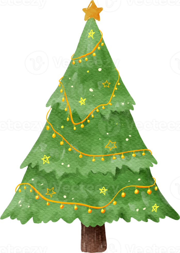 acquerello albero di natale png