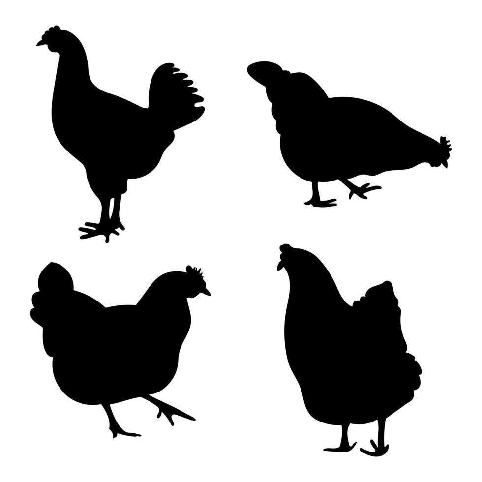 polla, gallo joven, gallito, pollo, gallina, posición de pie de pollito, paquete diferente de siluetas de aves, vector aislado