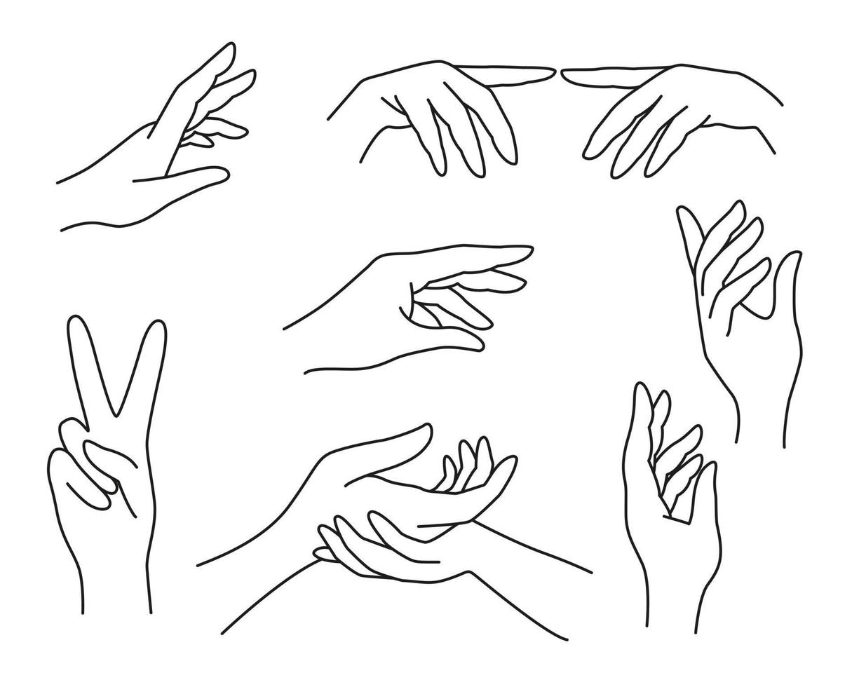 Set line art female hands different gestures vector