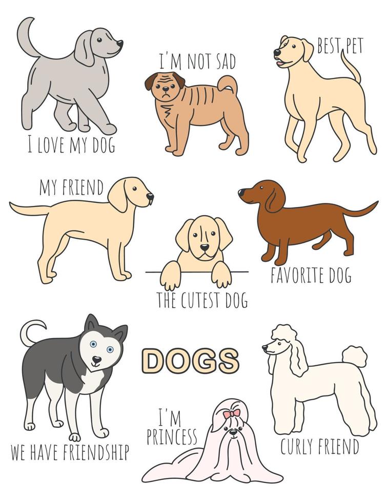 Set of illustrations with dogs and inscriptions vector