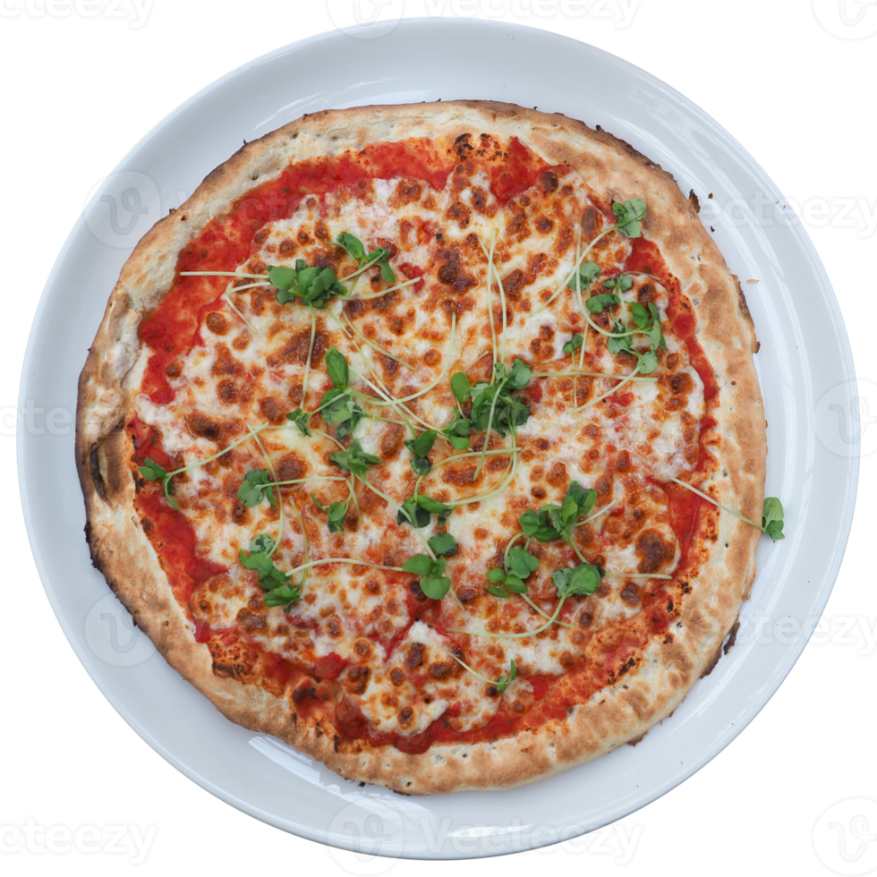 margherita pizza in a dish 14038200 PNG