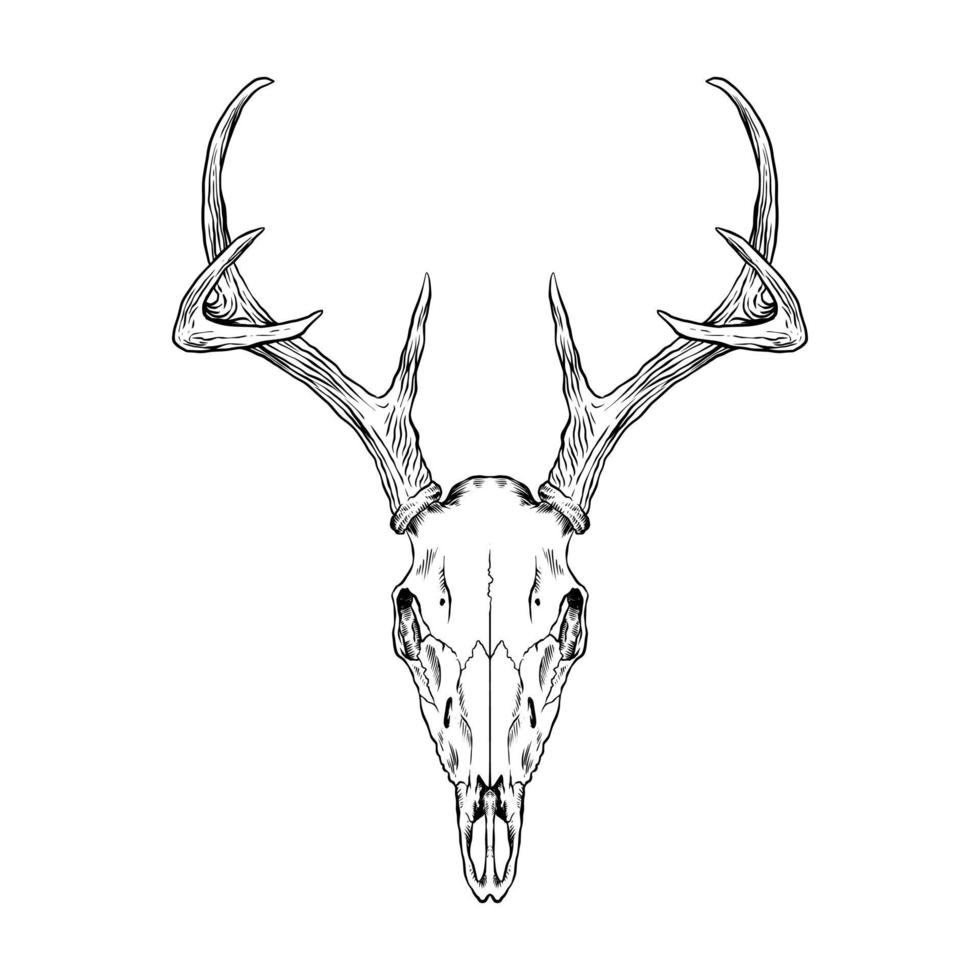 Deer Skull Silhouette Vector Art, Icons, and Graphics for Free Download