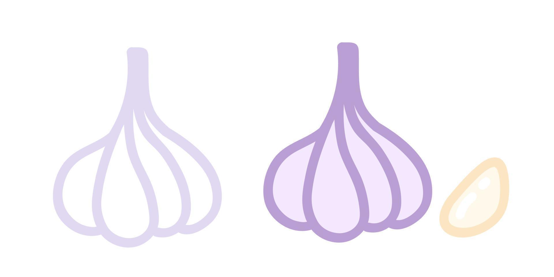 Vector set icons of garlics. Vector illustration of garlic. Hand drawing vegetables.