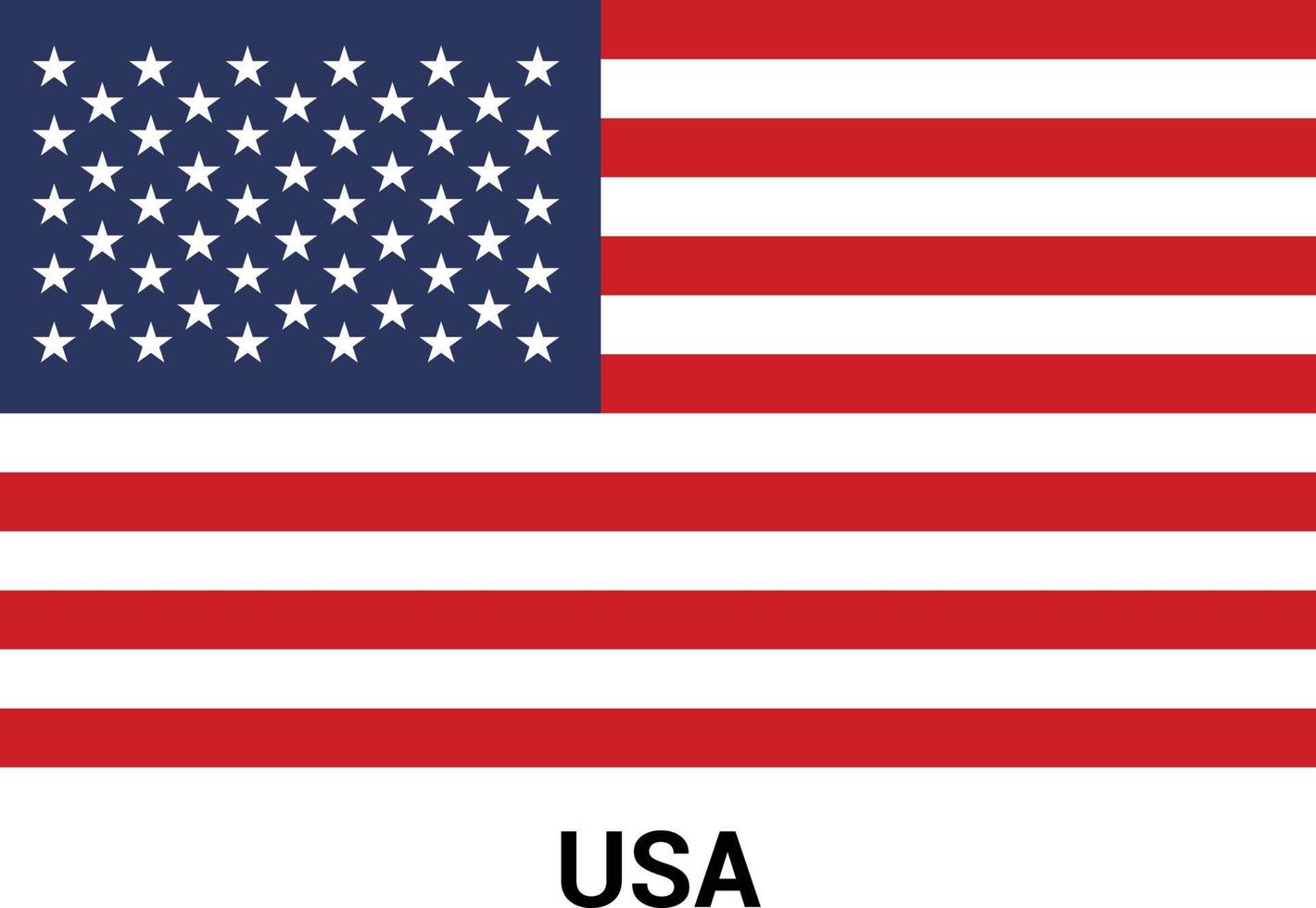 USA flag design vector