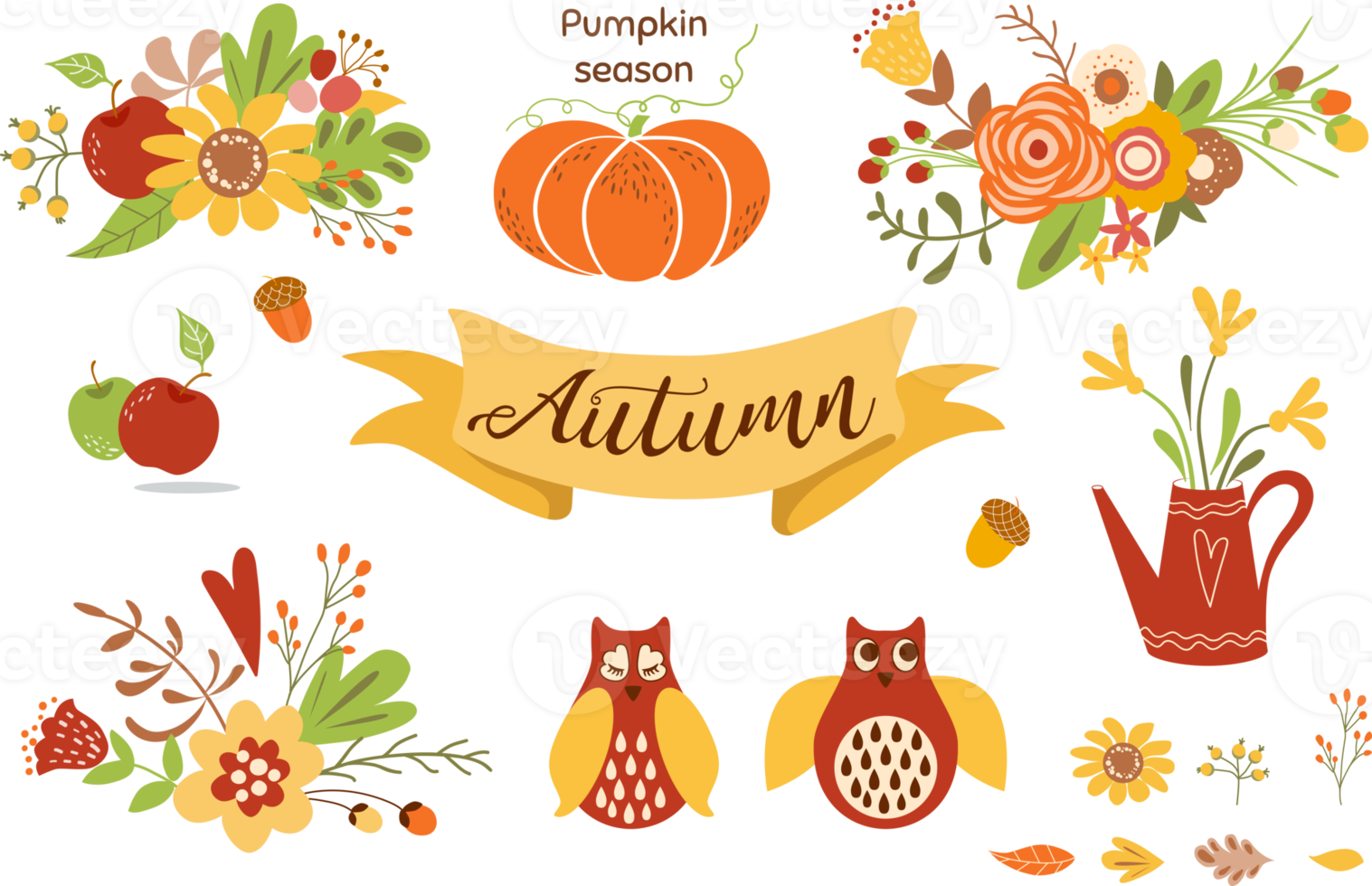 Autumn floral set with different cute fall flowers and leaves, berries, apple, pumpkin, acorn, owls. Floral autumn illustrations in PNG. png