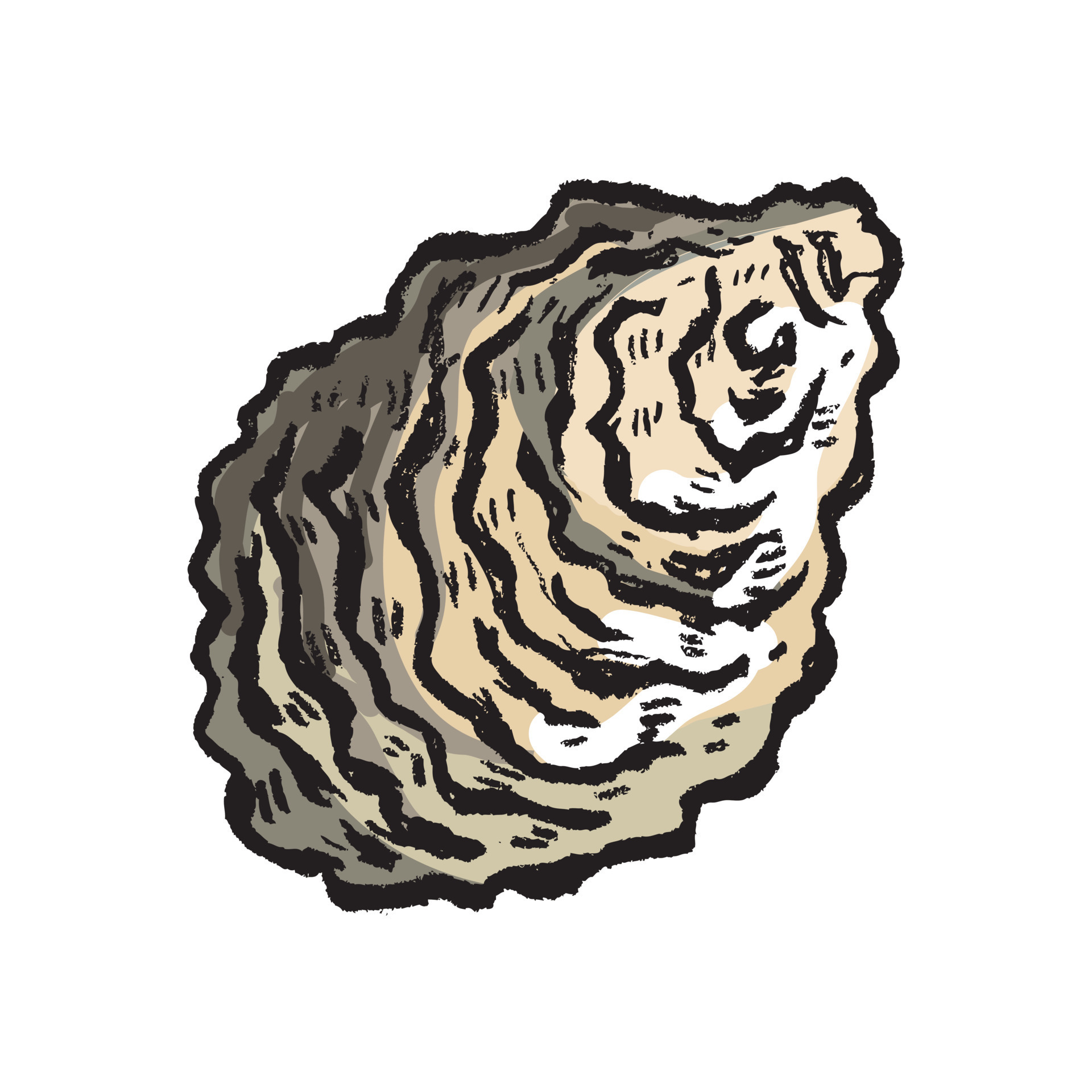 colored oyster shell isolated on white background 14040410 Vector Art