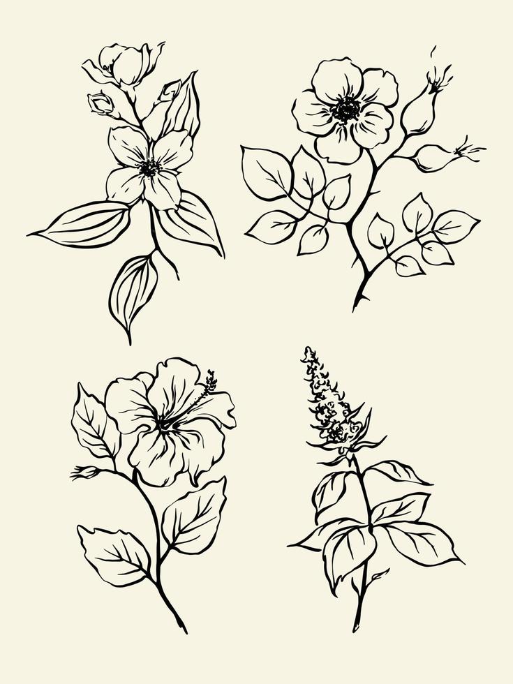 Tea herbs vector illustration. Outline monochrome drawings of mint, rosehip, hibiskus, jasmine. Set of herbal tea design elements.