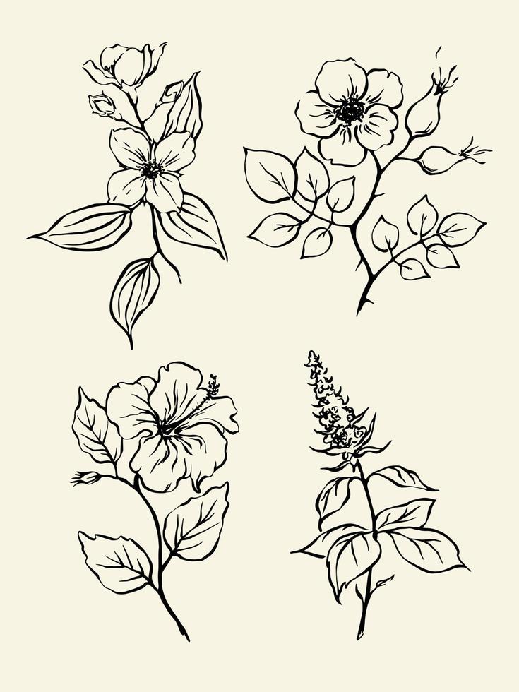 ilustración vectorial de hierbas de té. esbozar dibujos monocromáticos de menta, rosa mosqueta, hibisco, jazmín. conjunto de elementos de diseño de té de hierbas. vector