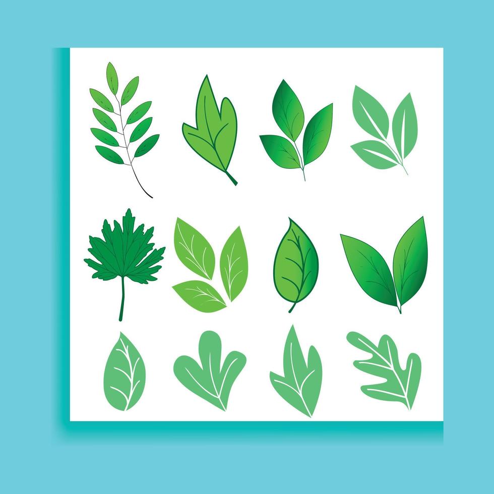 Set of green leaf icons. Leaves of trees and plants. Leaves icon. Collection green leaf. Elements design for natural, eco, bio, vegan labels. Vector illustration.