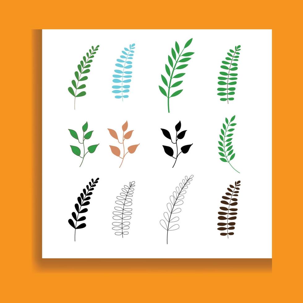 set leaf vector. collection of leaves. vector