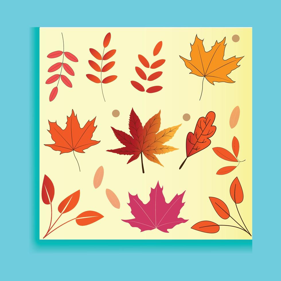 Vector illustration of four autumn leaves