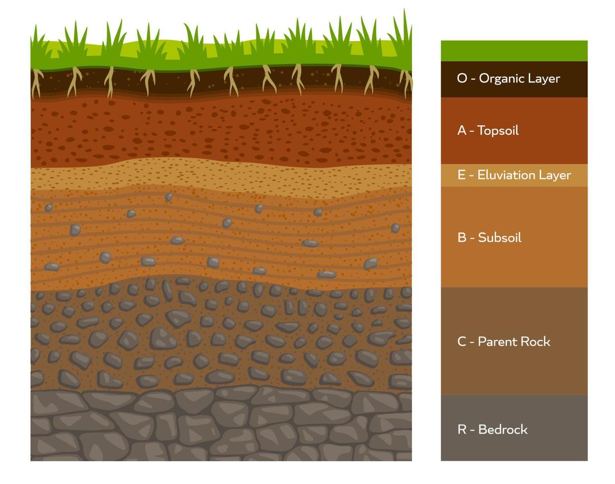 Soil layer infographic, earth geology formation vector