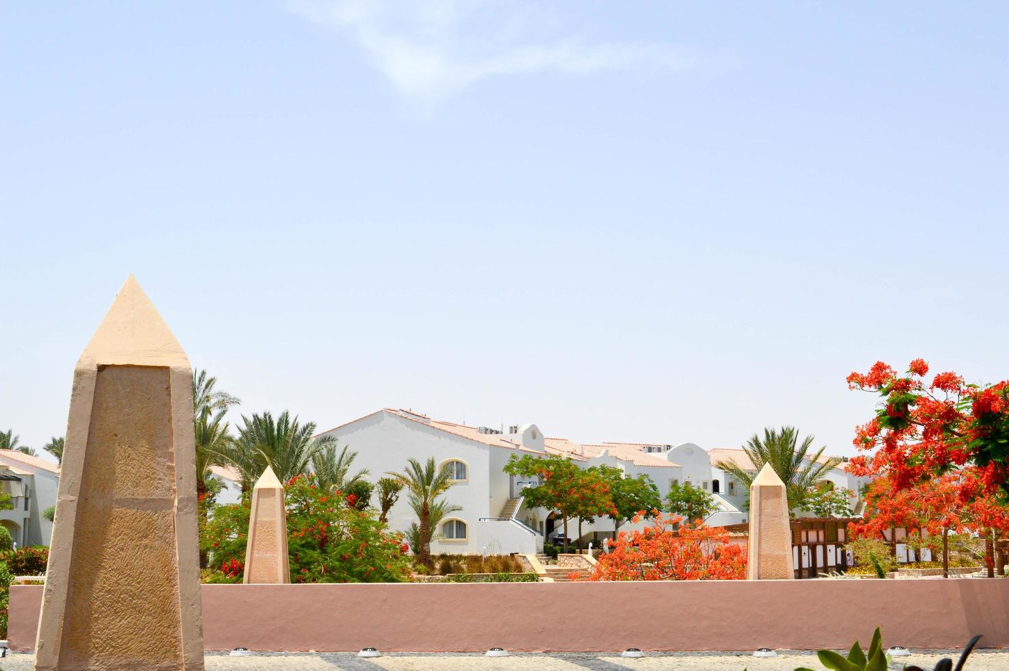 Stone bridge in egypt in the background of tropical palm trees with green and red leaves with flowers against a background of a paradise landscape and blue sky photo