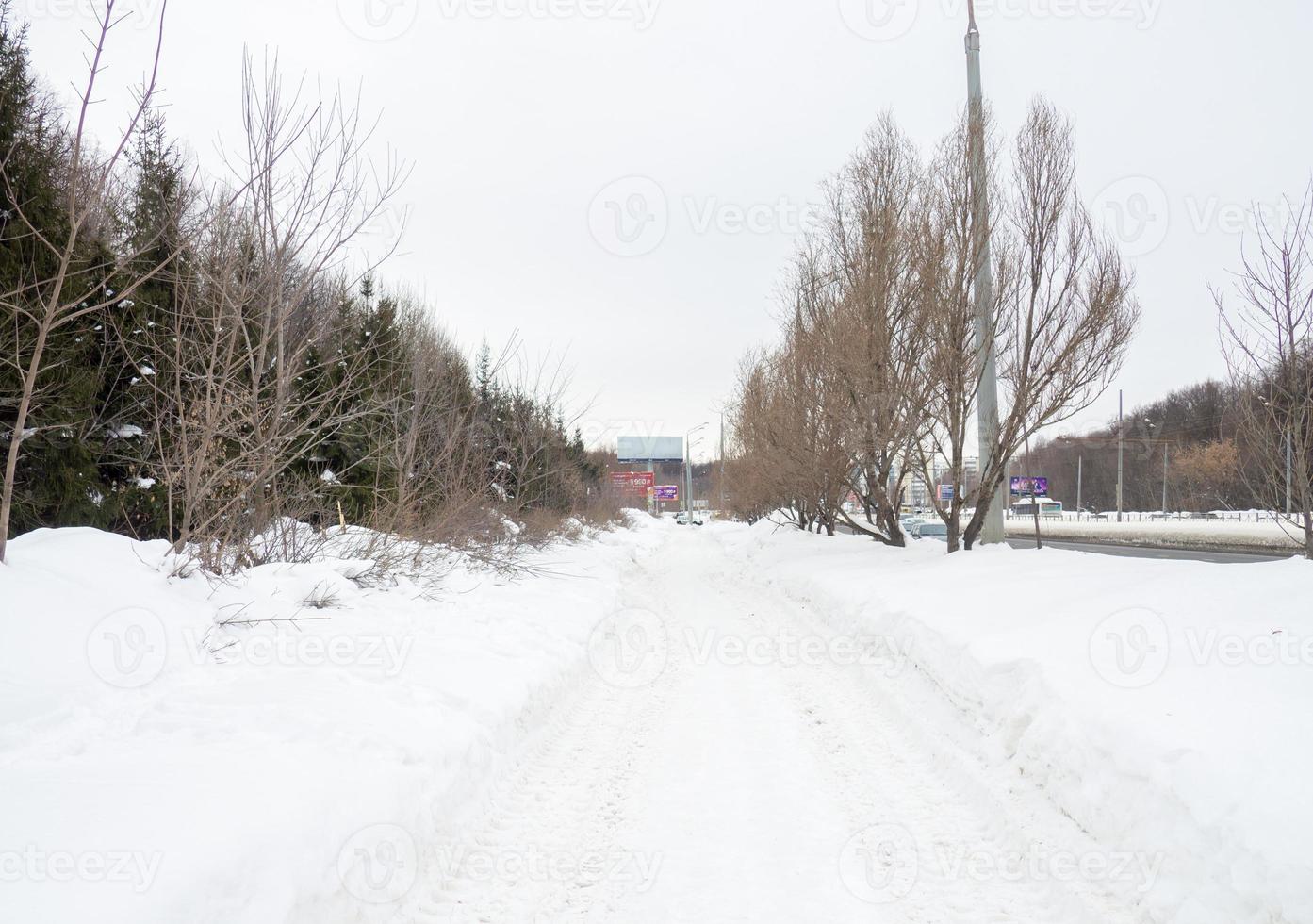 Winter day. Trees under the snow. Nature in the city. Urban environment. After a snowfall. photo