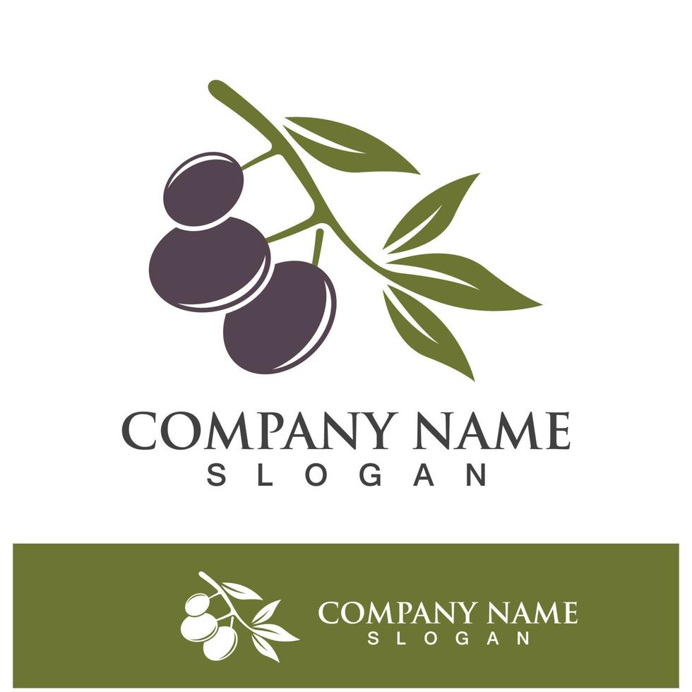 Olive tree vector illustration