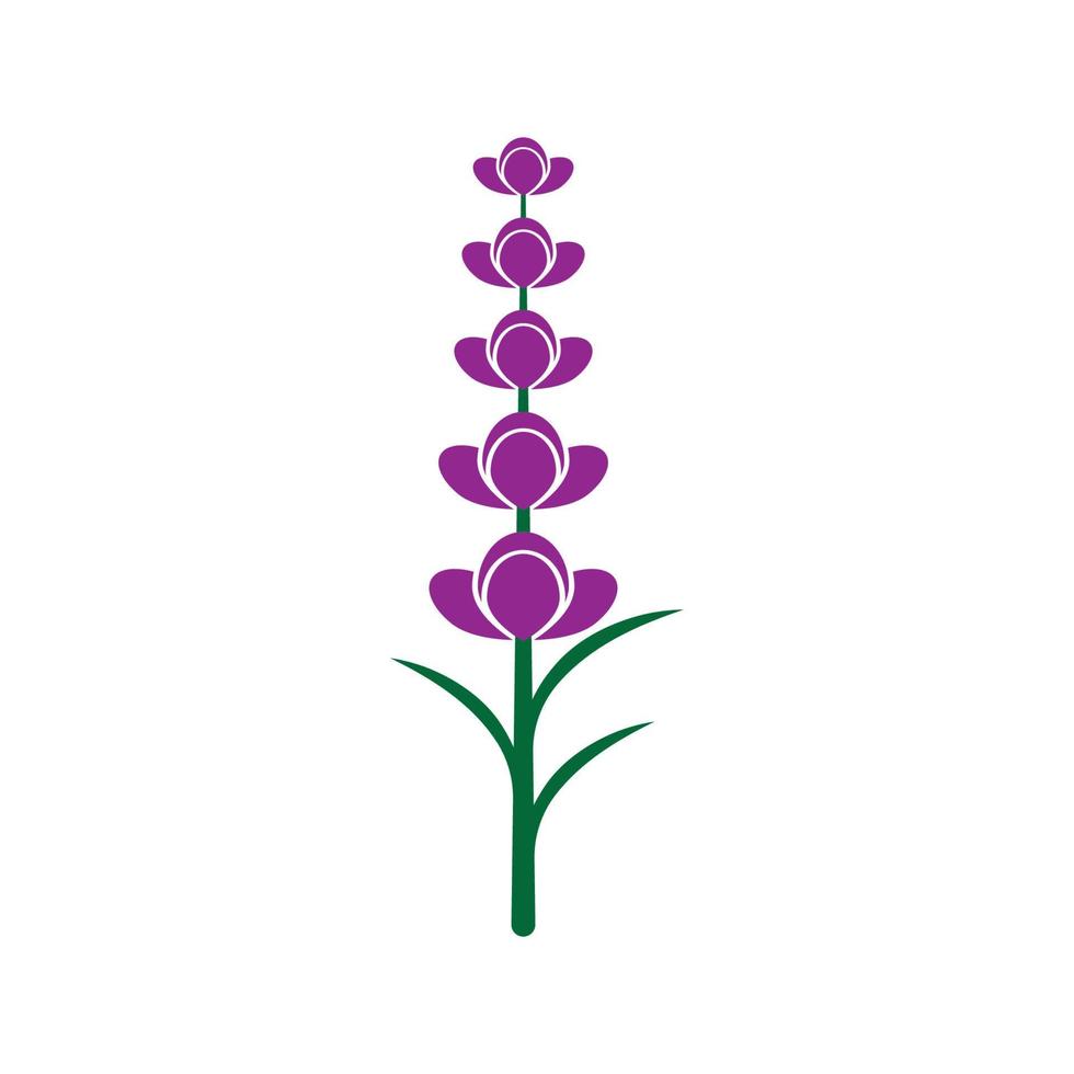 Fresh lavender flower logo vector