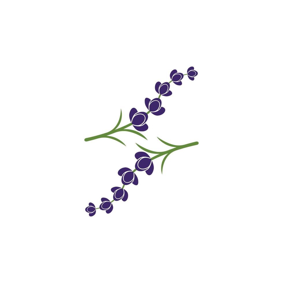 vector de logotipo de flor de lavanda fresca