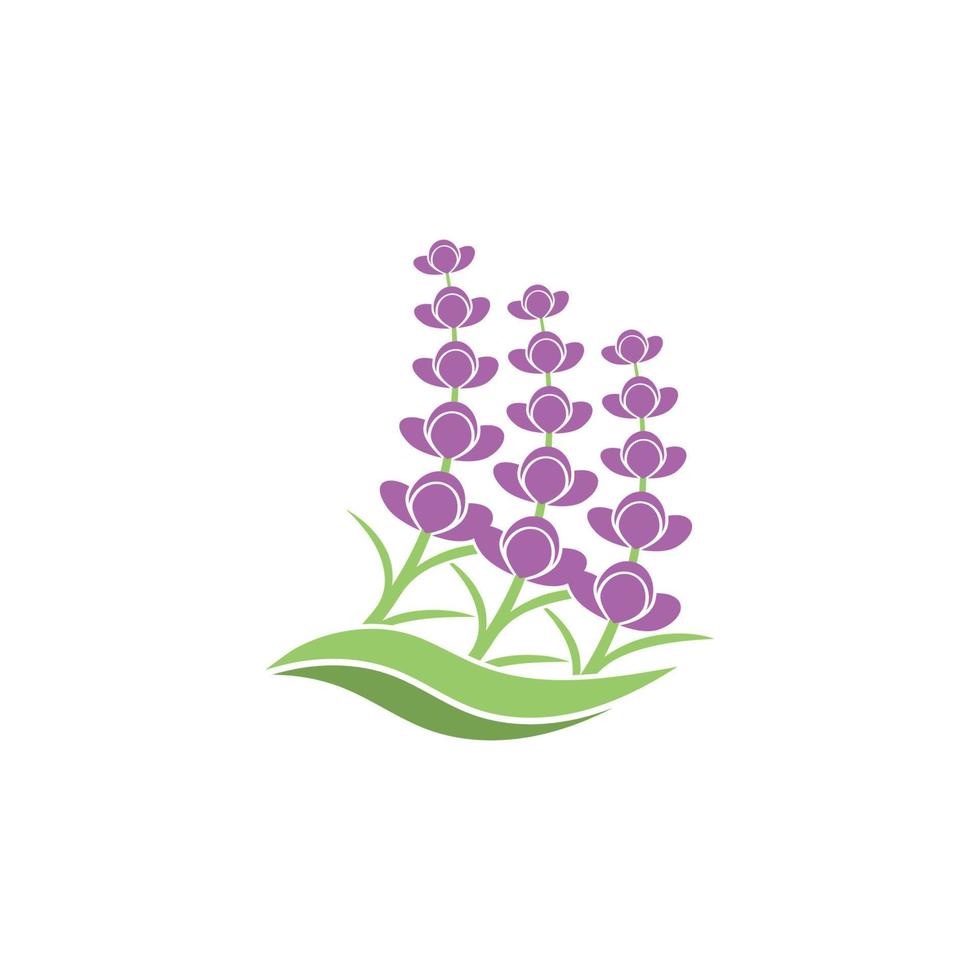 Fresh lavender flower logo vector