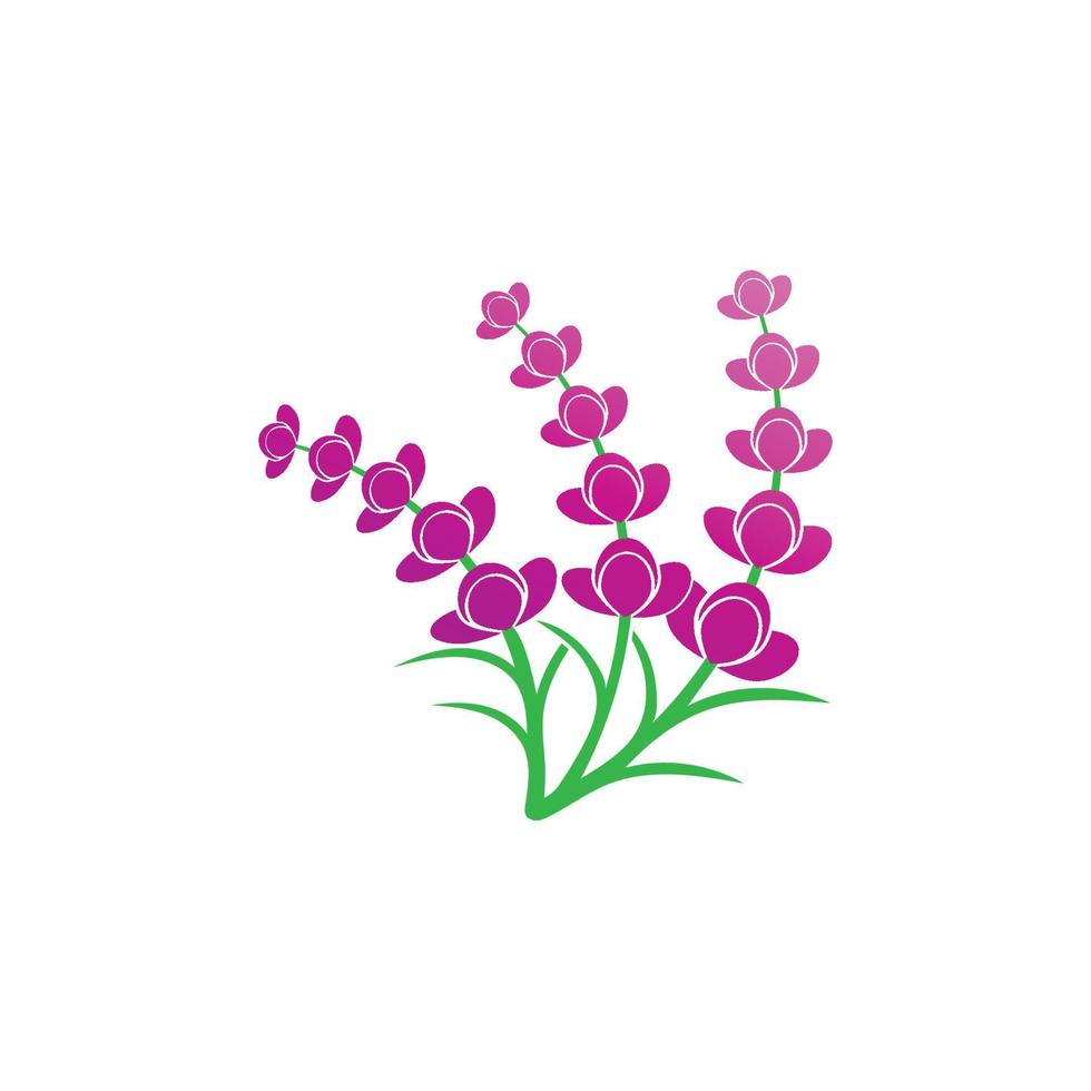 vector de logotipo de flor de lavanda fresca