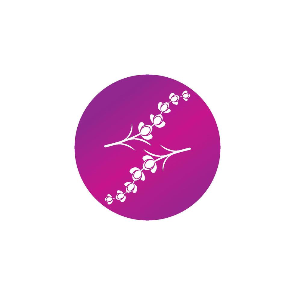 Fresh lavender flower logo vector
