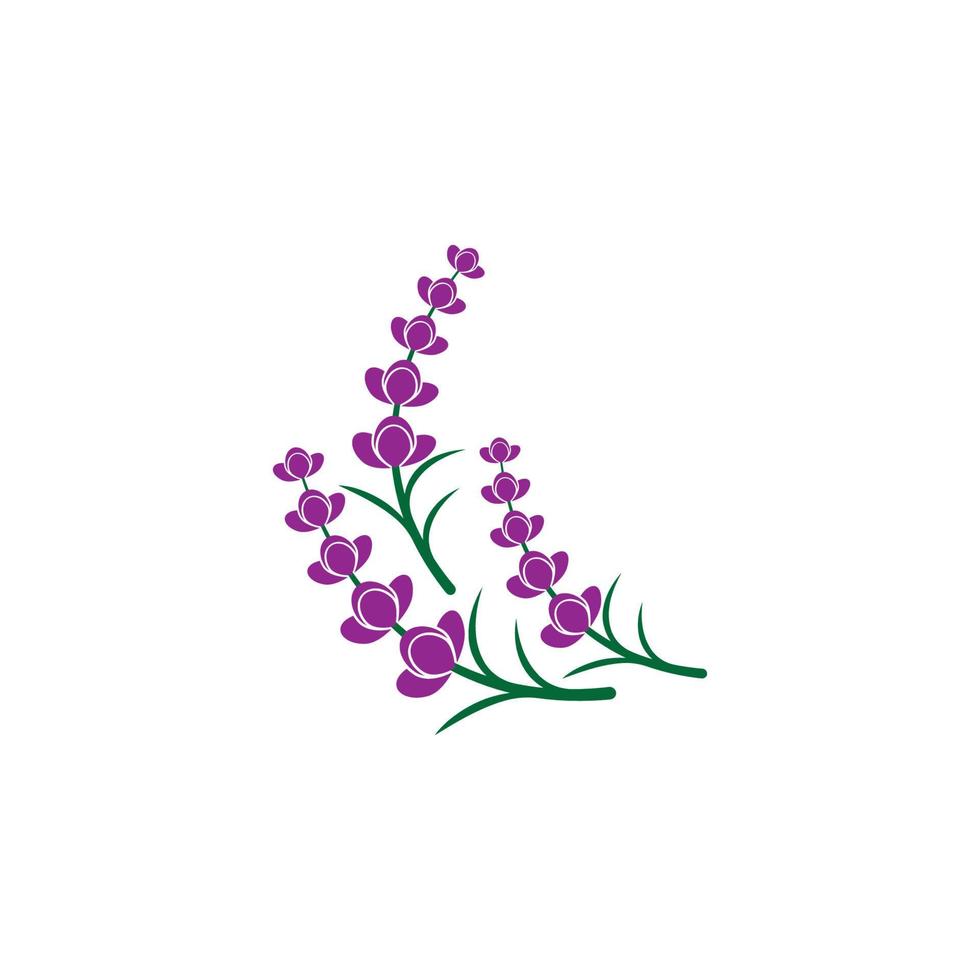 vector de logotipo de flor de lavanda fresca